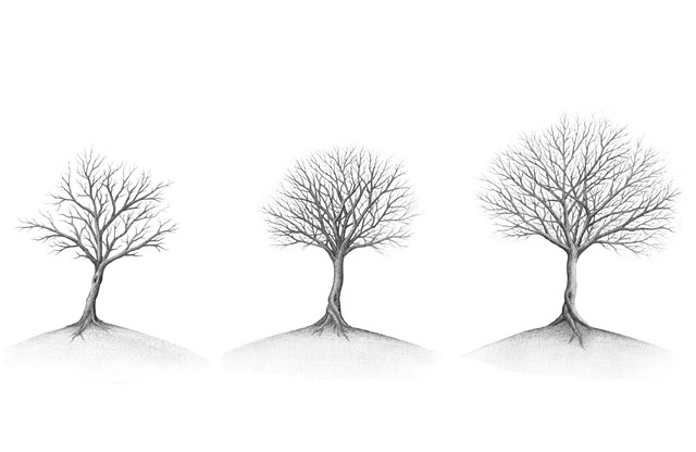 ilustracija s svinčnikom #I25